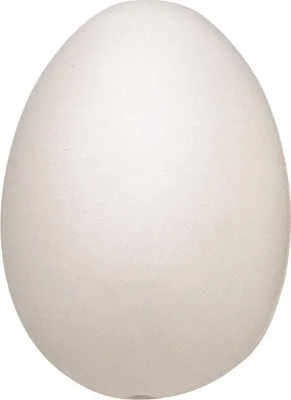 Imagen del producto de 50XKNORR prandell 216924000 Kunst.ei60x45ws