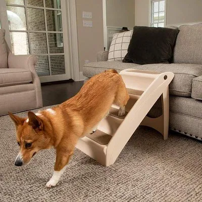 Image de Barrière pour animaux de compagnie, adaptée aux chiens et aux chats, lavable, pliable, dimensions : 40,96 x 13,65 x 78,74 cm