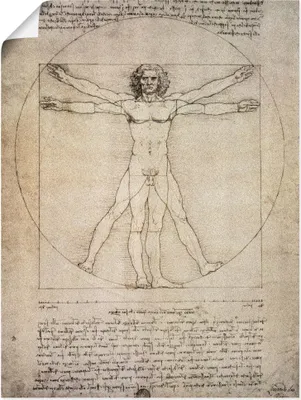Produktbild von ARTland Poster Proportionszeichnung, nach Vitruv. 1490 Größe: 30x40 cm