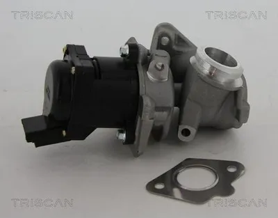 Produktbild von TRISCAN 8813 10010 AGR-Ventil mit Dichtungen für FORD Fiesta Mk6 Schrägheck (JA8, JR8) Abgasrückführungsventil