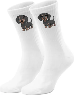 Produktbild von epicsocks Dackelliebe Dunkelgrauer Dackel Socken in 42-46 im Paar