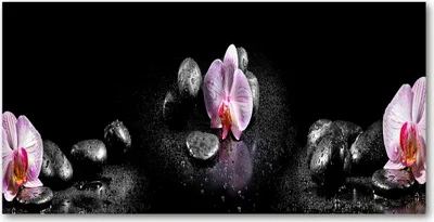 Produktbild von Tulup® Glas-Bild - 100x50 -Wandkunst - Wandbild hinter gehärtetem Sicherheitsglas  - Blumen & Pflanzen - Orchidee - Schwarz