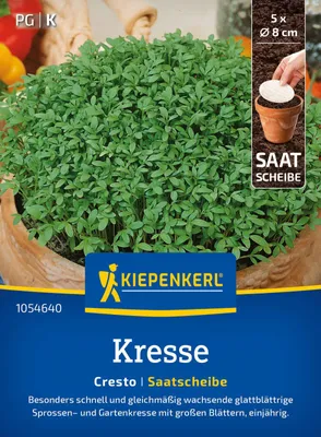 Produktbild von Kiepenkerl Kressesamen Saatscheibe Cresto Lepidium sativum 5 Stück