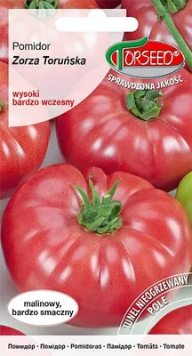 Produktbild von Samen der Aurora-Tomate 0.8g - Torseed