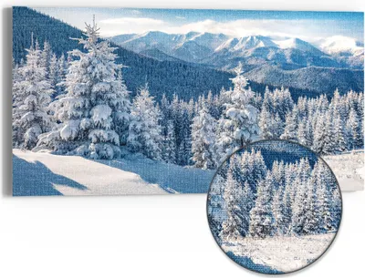 Produktbild von DEQORI Hybrid Leinwand Bild 60x30 cm 'Karpatenwinter' Wandbild Glas flach modern