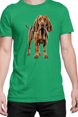 Immagine prodotto di Maglietta da uomo Dogs Breeds Bloodhound Dog Breed 005, Man S , Vert