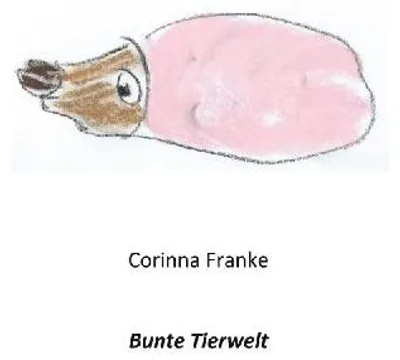 Produktbild von Bunte Tierwelt