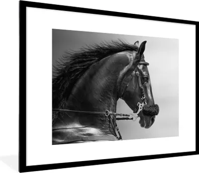Produktbild von MuchoWow® Gerahmtes Poster Pferde - Schwarz - Porträt - Tiere 80x60 cm - Poster mit Schwarzem Bilderrahmen Wandposter Rahmen Foto Bilder - Schlafzimmer-Dekorationen - Fotoposter