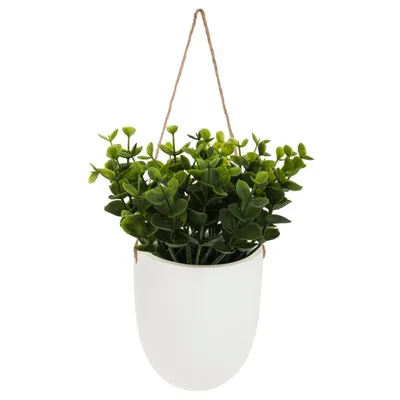 Obrázek produktu pro Umělá rostlina v bílém květináči, výška 38,5 cm