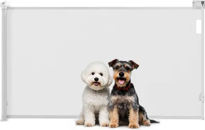 Immagine prodotto di Cancellino per Cani Regolabile per Cani Piccoli Estensibile e Retrattile 0-144 cm Bianco