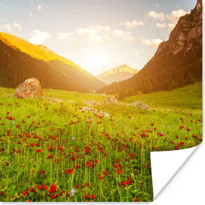 Produktbild von MuchoWow® Poster Blumen - Berg - Sonne 75x75 cm - Wand Dekoration