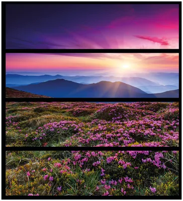 Produktbild von Wallario Möbelfolie / Aufkleber, geeignet für Ikea Malm Kommode mit 4 Schubfächern - Blumenbedeckte Wiese bei Sonnenuntergang