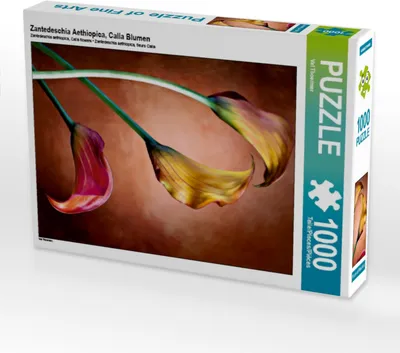 Produktbild von Calvendo Zantedeschia Aethiopica, Calla Blumen 1000 Teile Puzzle hoch 480x640mm, Thoermer Val; 7351842