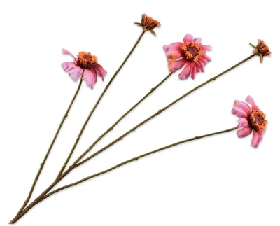 Produktbild von Silk-ka Kunstblume - Seidenblumen-Zinnienzweig Rosa 89 cm pro 2 Stück