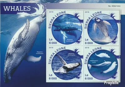 Produktbild von Briefmarken Sierra Leone 2016 Mi 6863-6866 Kleinbogen (kompl. Ausg.) postfrisch Wale