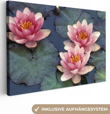 Produktbild von OneMillionCanvasses® - Leinwandbilder - 140x90 cm, Rosa Seerosen auf einem Blatt, Wandbilder Kunstdruck Wanddekoration
