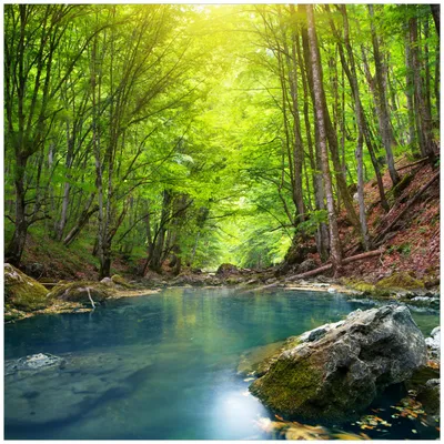 Produktbild von Wallario Möbeldesign / Aufkleber, geeignet für Ikea Lack Tisch - Klarer See im Wald in 55 x 55 cm