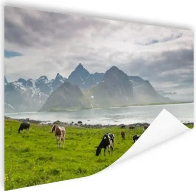 Produktbild von MuchoWow® Poster Kuh - Berg - Meer 60x40 cm - Schlafzimmerdekoration
