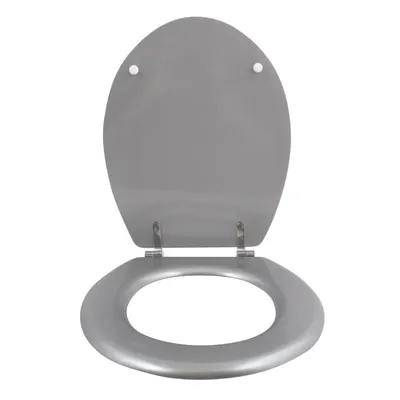 A silver toilet seat and lid are shown open against a white background.