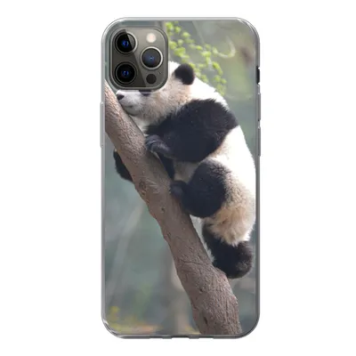 Produktbild von MuchoWow® Handyhülle Schutzhülle Hülle für iPhone 12 Pro Max Panda - Tier - Baum Silikon Softcase Handy Hülle - Hartschale