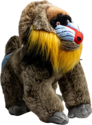 Image de Carl Dick Mandrill singe env. 28cm peluche, animal en peluche, doudou 3651