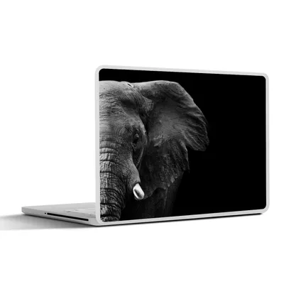 Produktbild von MuchoWow® Laptop Aufkleber Sticker Cover Tiere - Elefant - Wild - Schwarz - Weiß 25x18 cm - Laptop-Deko