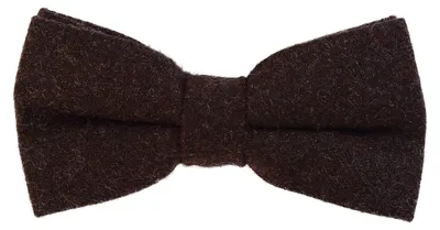 Produktbild von DonDon Herren Fliege 12 x 6 cm gebunden längenverstellbar und Einstecktuch 23 x 23 cm farblich passend aus Baumwolle dunkelbraun