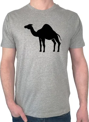 Produktbild von Huuraa Herren T-Shirt Dromedar Kamel Silhouette XXL Sport Grey Bio Baumwolle Fairtrade Herrenshirt Geschenkidee