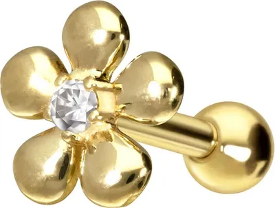 Produktbild von Ohrpiercing 14/18 Karat Gold Ohrpiercing MOISSANIT + BLUME
