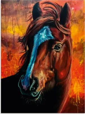Produktbild von ARTland Wandbild Alu für Innen & Outdoor Pferd in Feuer Größe: 60x80 cm