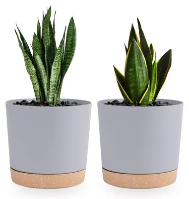 Immagine prodotto di Set di 2 vasi da fiore grigio chiaro con fori di drenaggio, diametro 16,5 cm