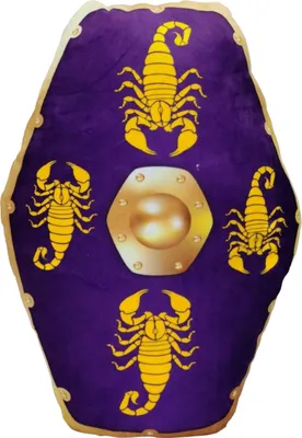 Produktbild von Pillowfight Warriors Römer Prätorianer Schild Kissenschlacht Kissen