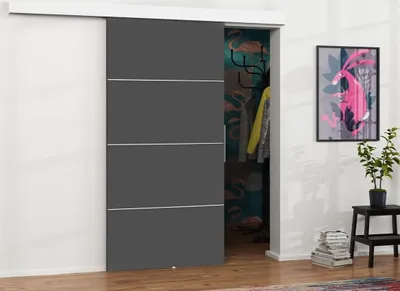 Obrázek produktu pro Posuvné interiérové dveře VIGRA 2 - 70 cm, antracitové