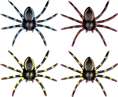Immagine prodotto di Ragni colori al neon - 4 pezzi