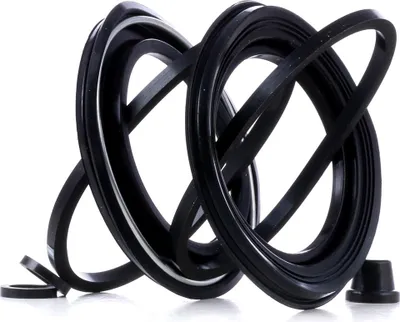 Produktbild von RIDEX Bremssattel-Reparatursatz für VW TRANSPORTER III Bus Vorne 54mm 405R0195