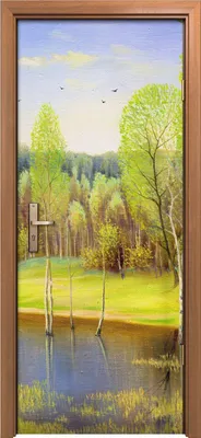 Produktbild von Türposter 80x200 cm Türaufkleber Türtapete Türfolie Klebefolie Landschafts Wald Wald See