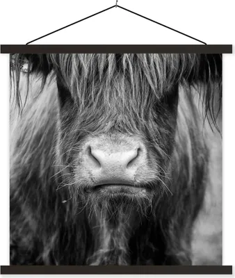 Produktbild von MuchoWow® Textilposter Schottisches Hochlandrind - Haare - Tiere 40x40 cm mit schwarzem Rahmen - Fotos