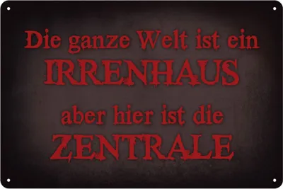 Produktbild von Dekoratives Blechschild 'Irrenhaus' Design, 30x20 cm, mit 4 Befestigungslöchern