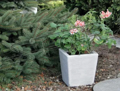 Zdjęcie produktu dla Blumenkorb Blumen Vase Gefäss Garten Terrasse Dekoration Statue Figuren S204057