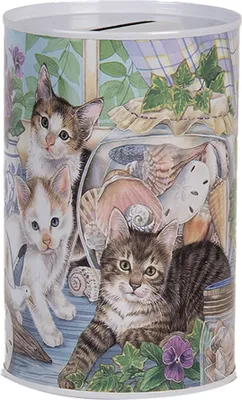 Produktbild von Clayre & Eef Spardosen Ø 8x13 cm Weiß Metall Katze