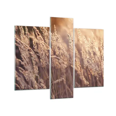 Produktbild von Bilder auf glas - 3 Teile - Boho Ähren Feld - 95x80cm - Glasbilder - Wandbilder - Bilder - Kunstdruck - zum Aufhängen bereit - Wanddekoration aus Glas - Glas Bilder - Wandbild auf Glas - GCB95x80-4838