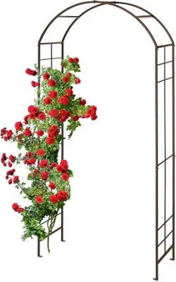 Obrázek produktu pro Zahradní oblouk kovový oblouk pro rostliny růže popínavé rostliny 224 x 110 x 41 cm bronzová podpěra pro rostliny půlkruhová