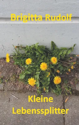 Produktbild von Kleine Lebenssplitter