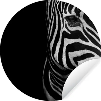 Produktbild von MuchoWow® Runde Wandtattoo - Wandsticker Tapete Aufkleber Tiere - Zebra - Schwarz - Weiß Ø 100 cm Selbstklebend und Repositionierbar - Wandaufkleber - Kreis - Tapetenkreis - Wandbild rund - Schlafzimmerdekoration - Wanddeko - runde Tapete - Kunst für zu Hause