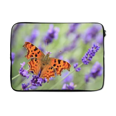 Produktbild von MuchoWow® Laptop Hülle 13 Zoll Schmetterlingsmaikäfer auf Lavendel Laptoptasche - Laptophülle - Sleeve - Rundumschutz