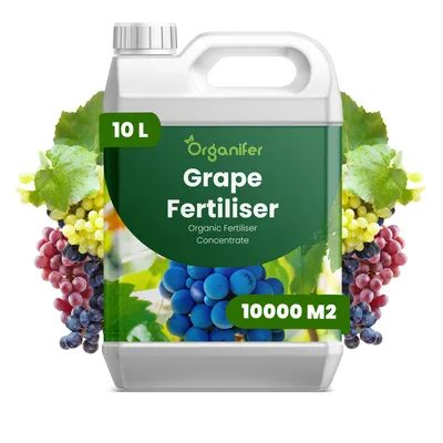 Obrázek produktu pro Hrozno Tekuté Hnojivo 10 L – 2-1-8 NPK – Pro Vinič – Podporuje Vysoké Výnosy & Rovnomerný Růst – Organifer