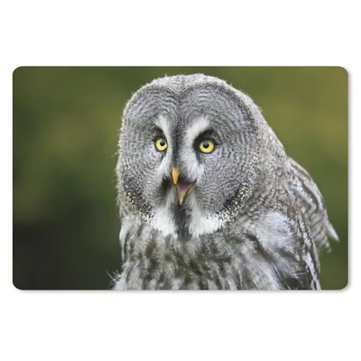 Produktbild von MuchoWow® Mauspad Mousepad Vogel - Eule - Grau 27x18 cm - Mousepads - Maus Mat - Pad - Mausunterlage - Büroartikel - Desk Matten