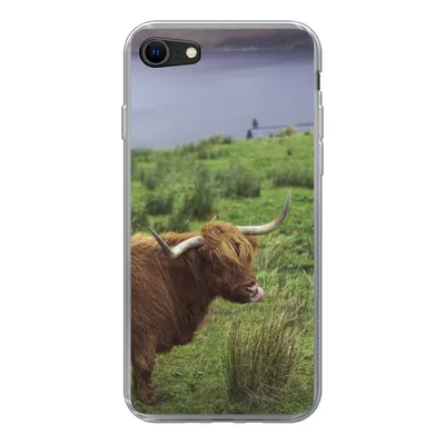 Produktbild von MuchoWow® Handyhülle Schutzhülle Hülle für iPhone SE 2020 Schottische Highlander - Gras - Wasser - Tiere Silikon Softcase Handy Hülle - Kartenbesitzer