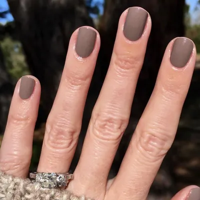 Image de Ongles artificiels courts, forme carrée, couleur marron, couleurs d'automne, design unicolore automnal, avec colle. AZ33