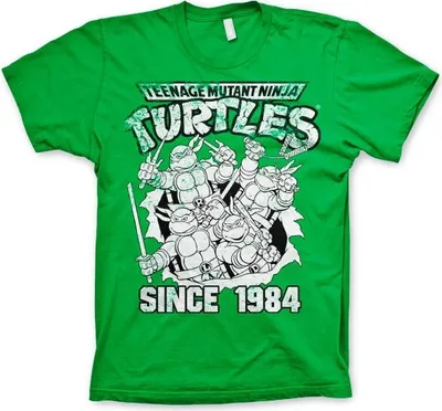Produktbild von TMNT Distressed Since 1984 T-Shirt - Large - Green